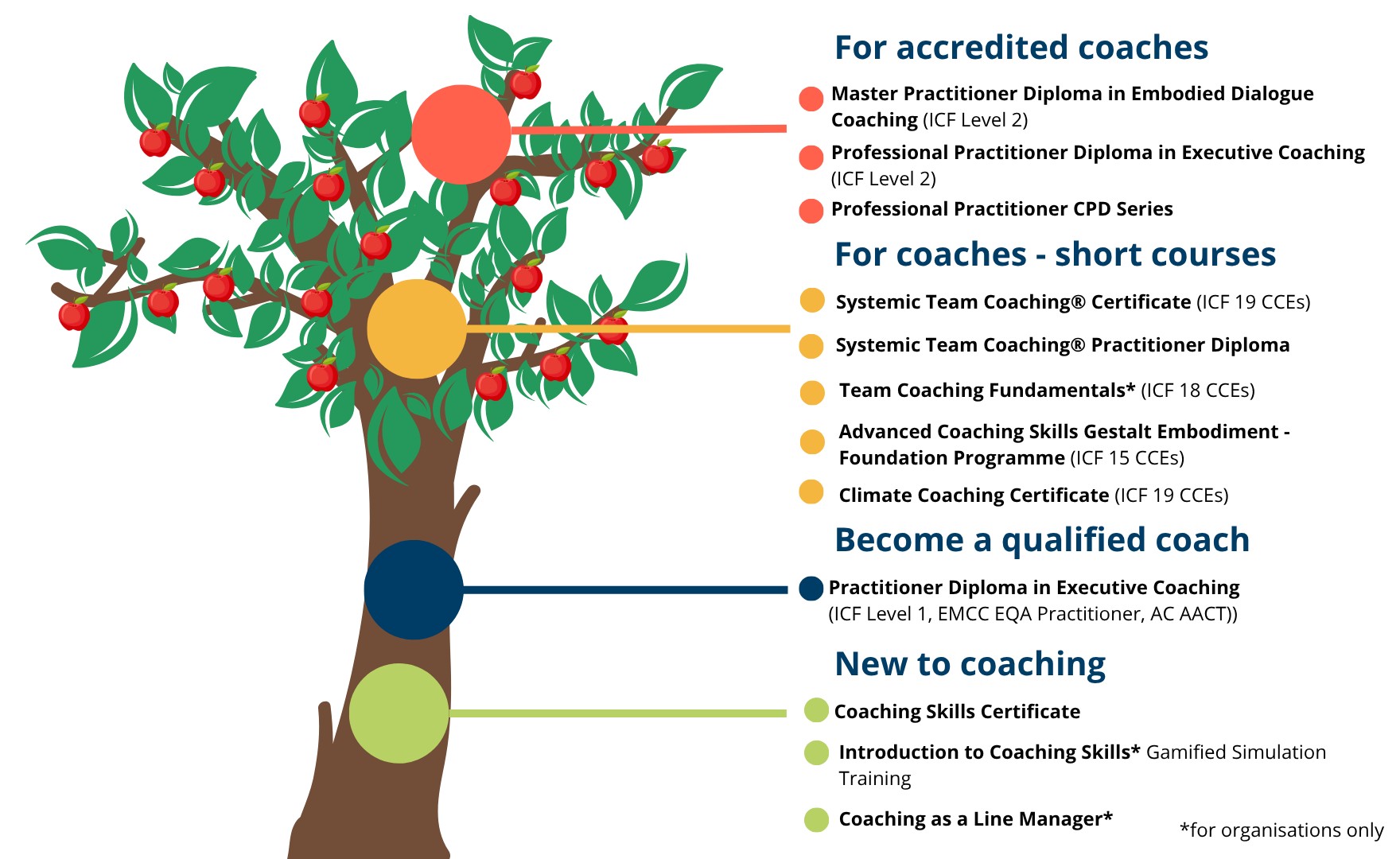 Infographic of tree showing all of AoEC's available programmes