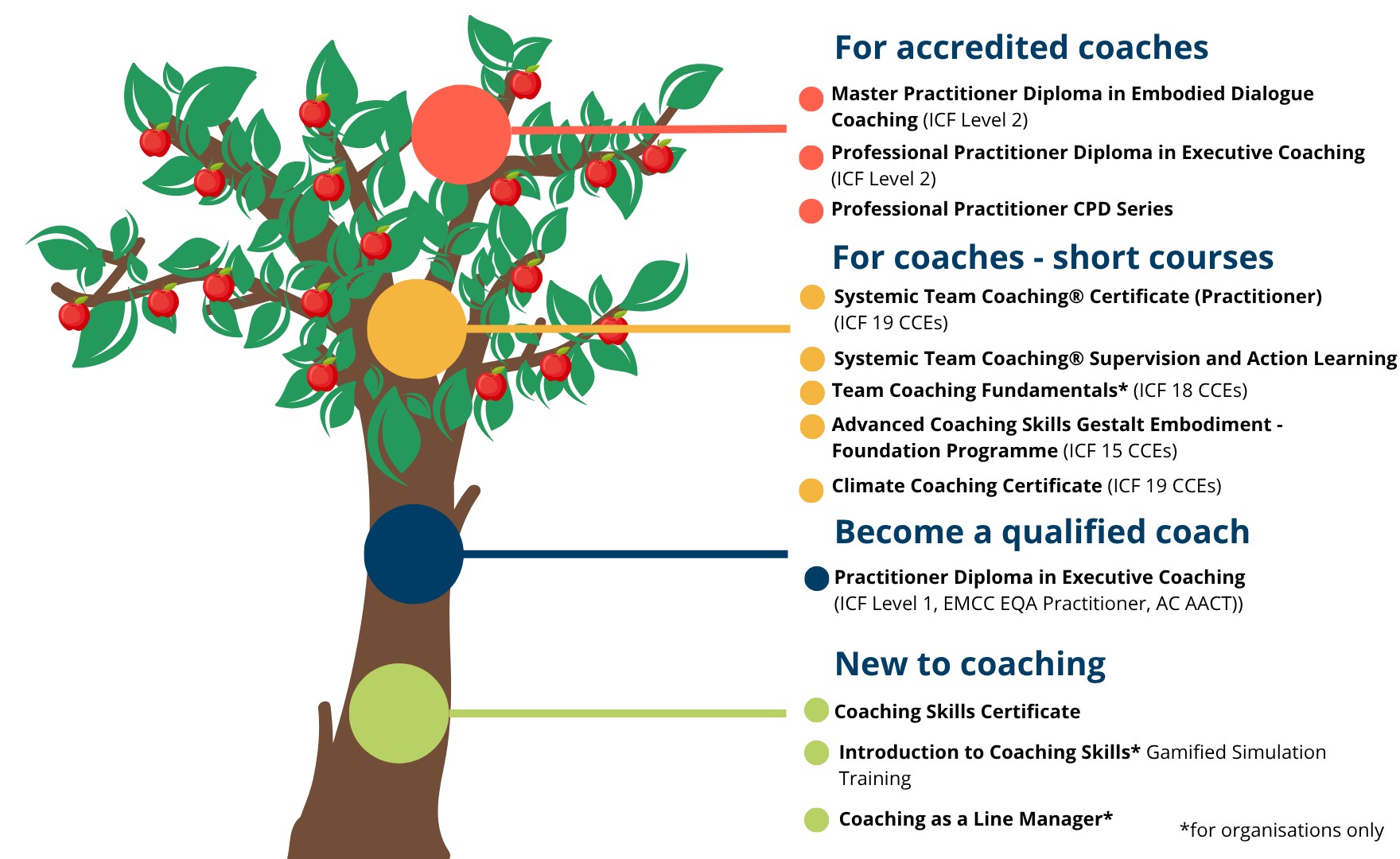 Infographic of tree showing all of AoEC's available programmes