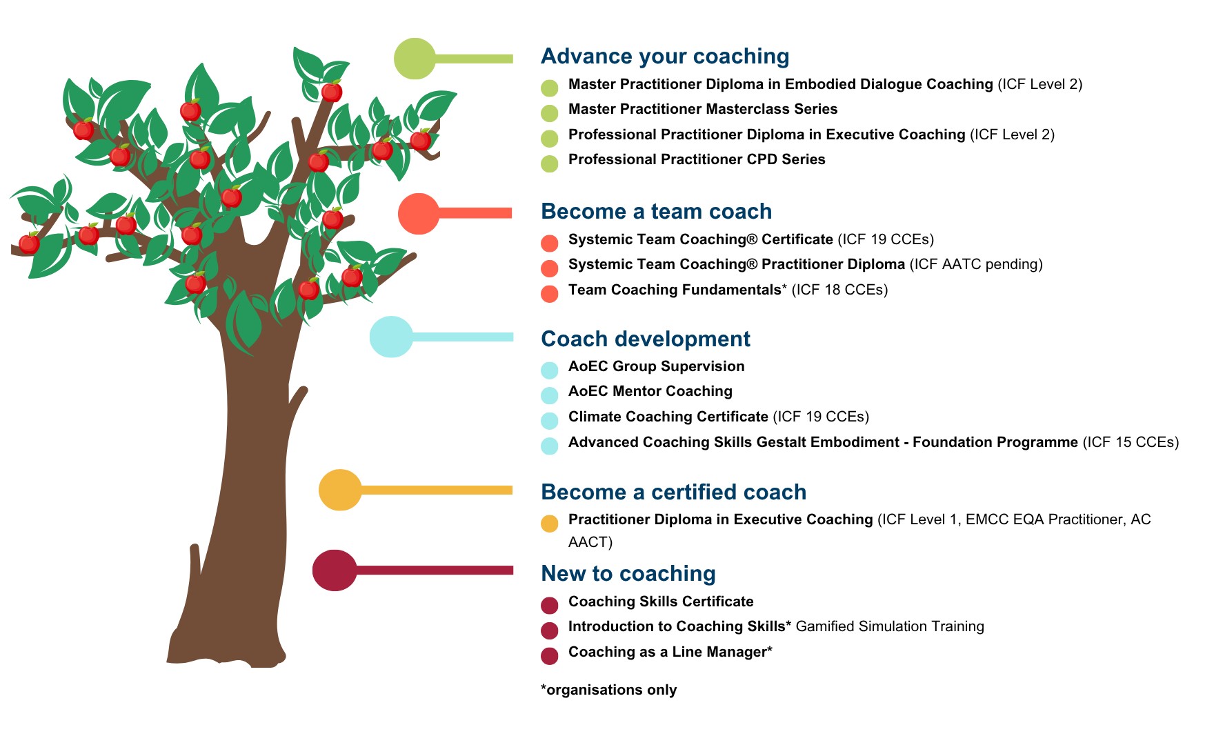 Infographic of tree showing all of AoEC's available programmes