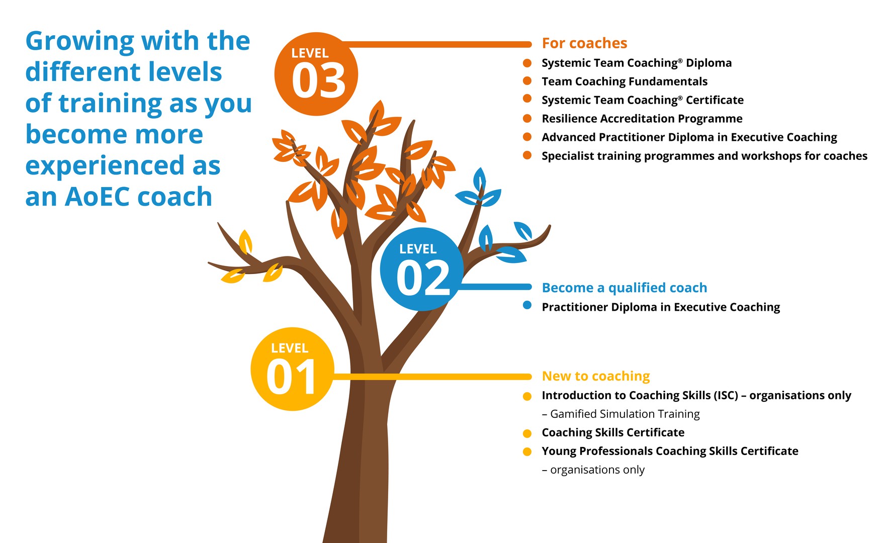 Coaching Levels Infographic - tree