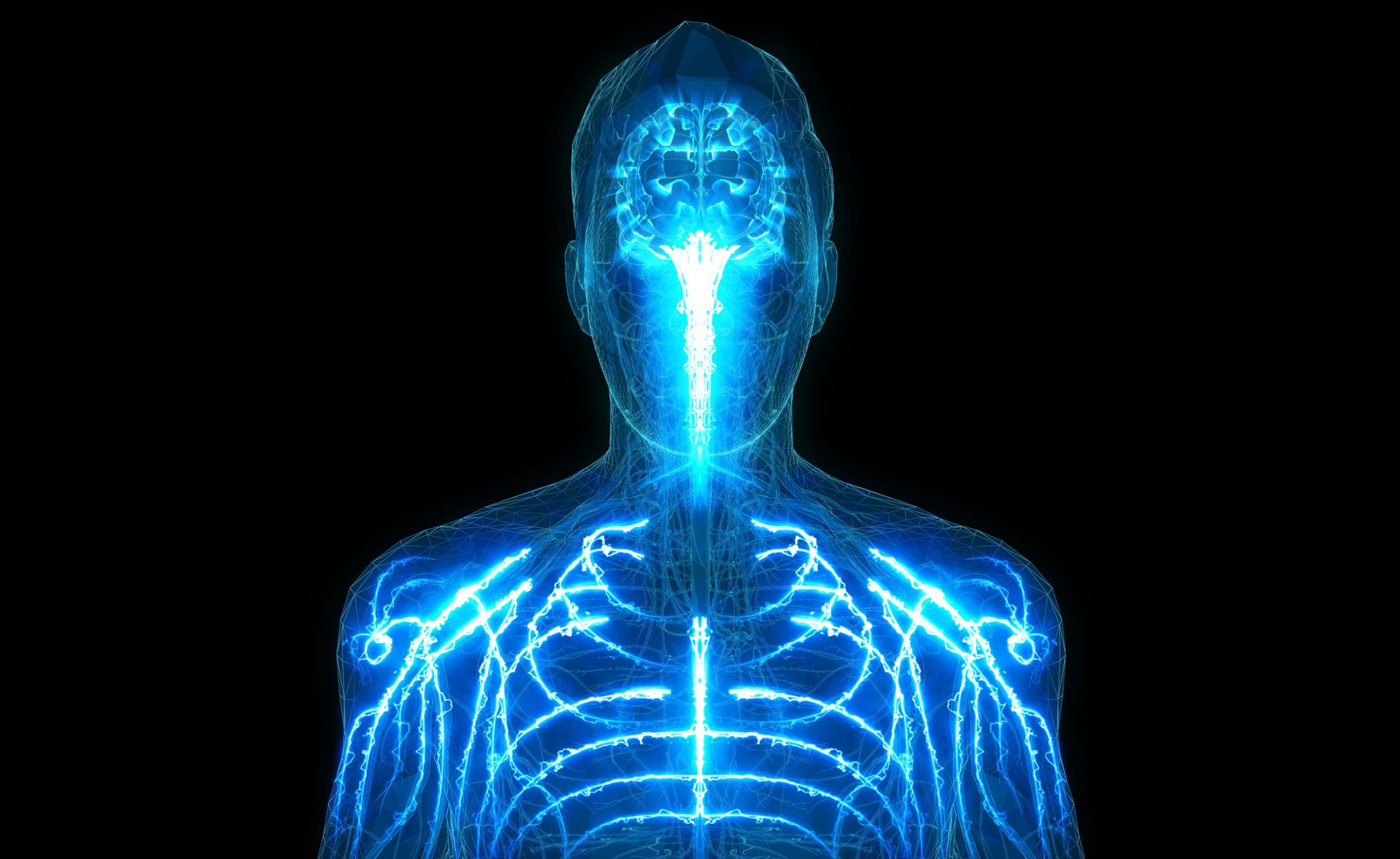 Brain-Body Connection: Definition, How It Works, and the Science Behind It
