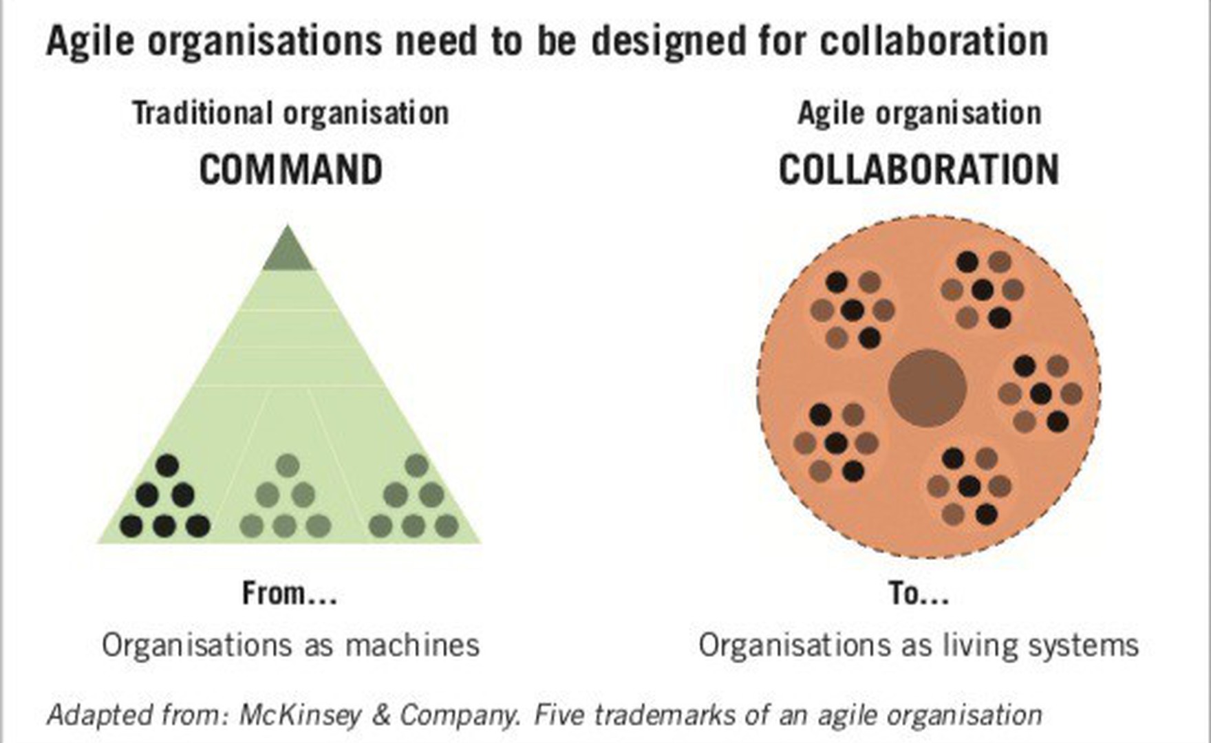 Agile design in pharma