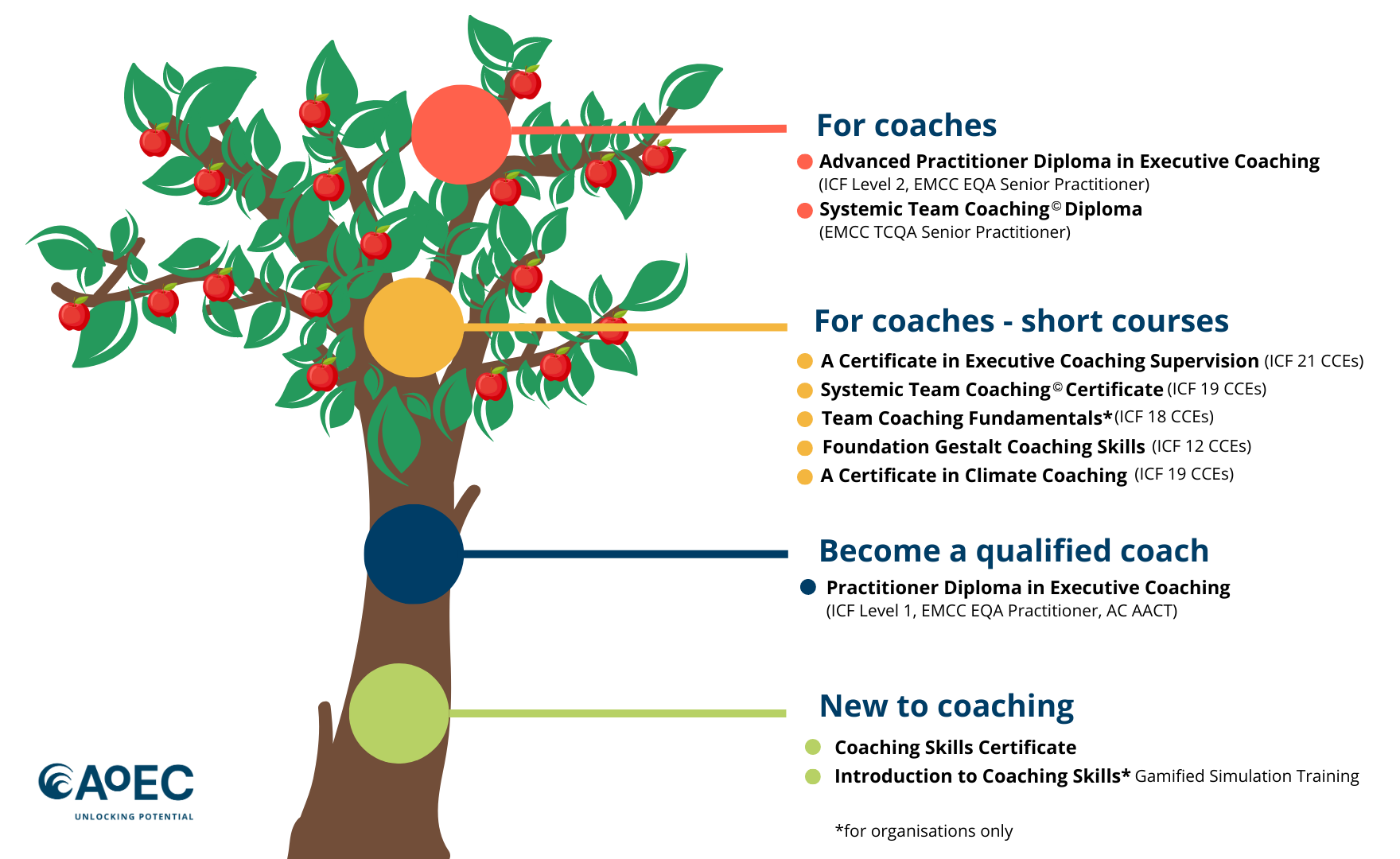 Coaching Levels Infographic - tree