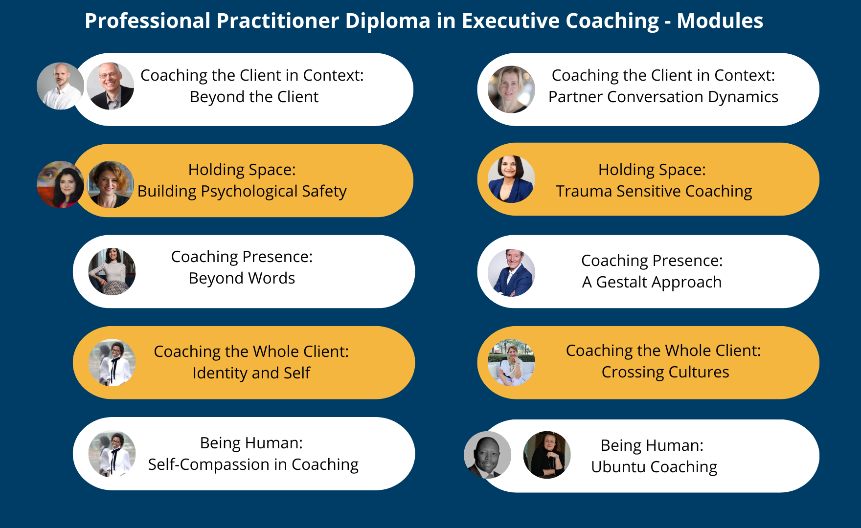 Professional Practitioner Diploma - modules