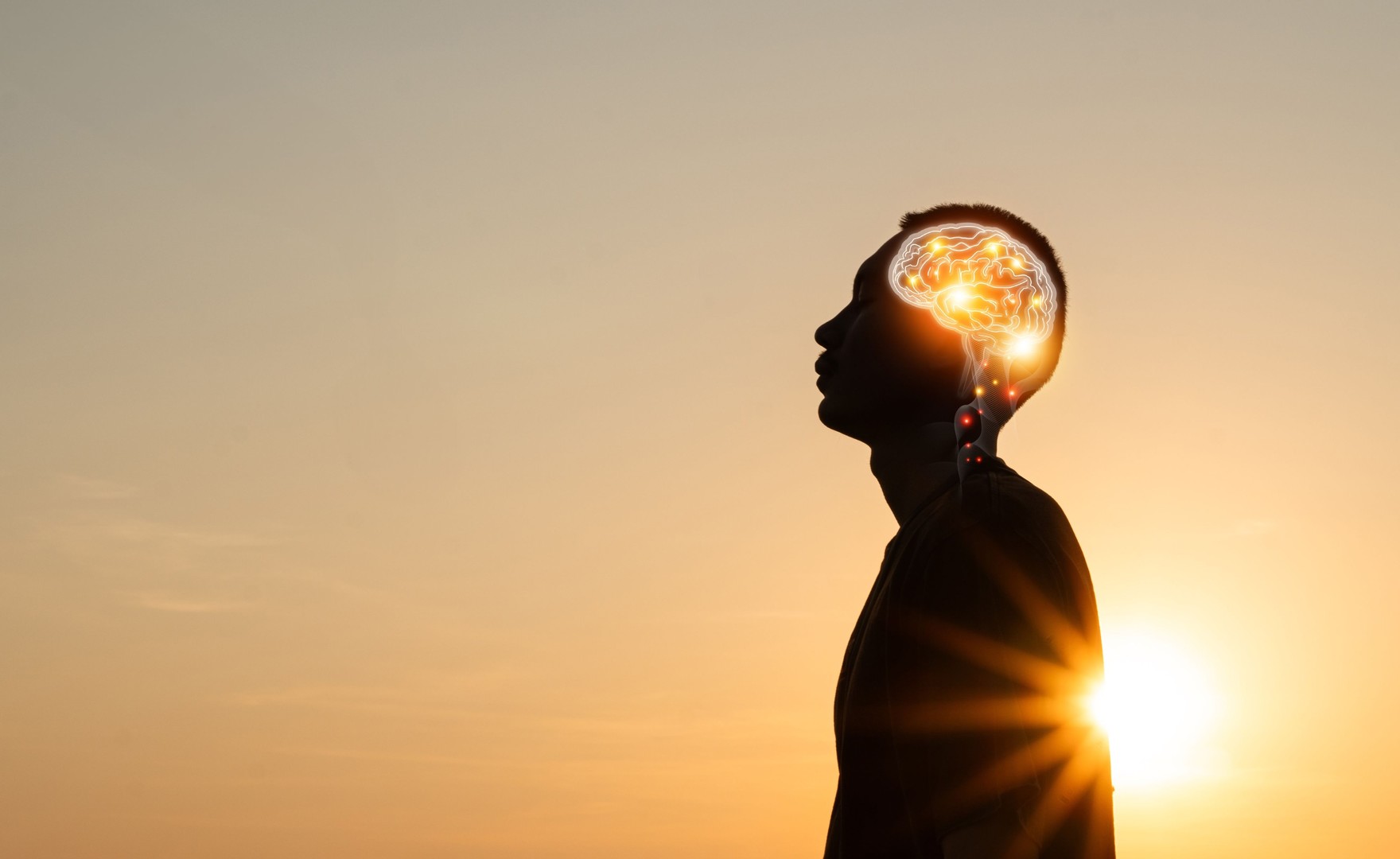 Image symbolising the brain Nervous System concept.