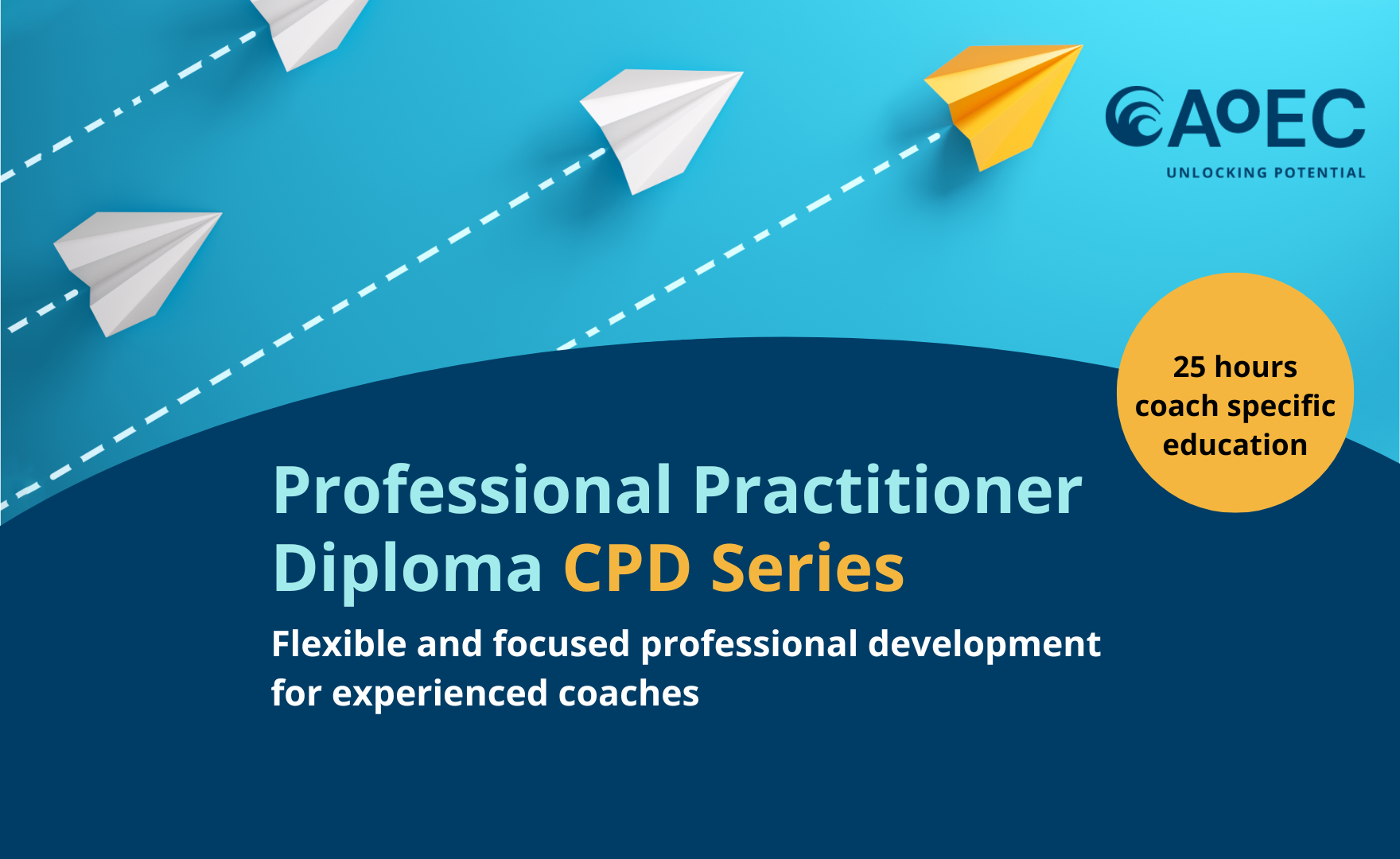 Visual of the Professional Practitioner CPD Series programme