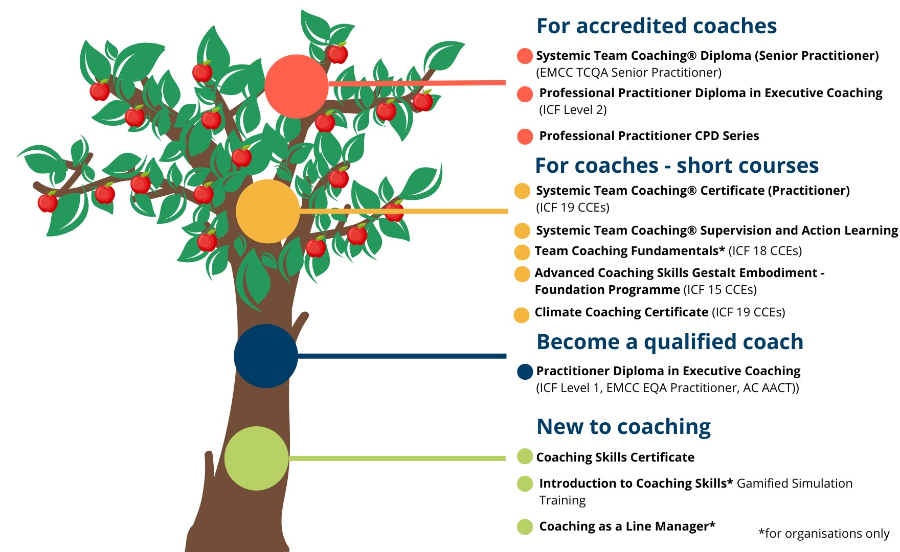 Infographic of tree showing all of AoEC's available programmes